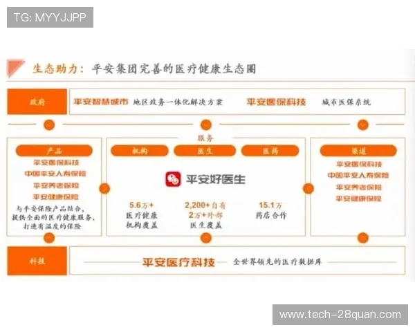 赛场数据深度解读:从战术布局到胜负预测的全景分析 赛场数据深度解读:从战术布局到胜负预测的全景分析